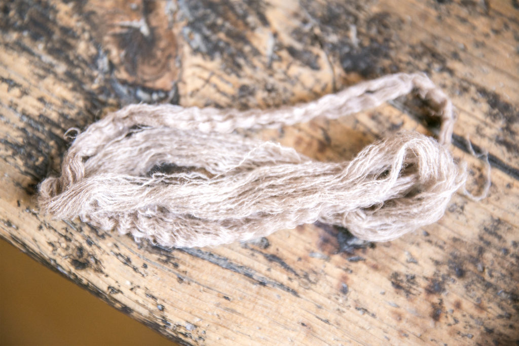 Wool vs Cashmere : What is the difference?