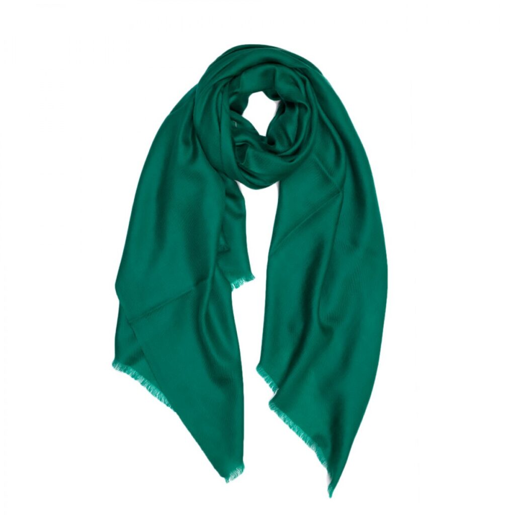 Pashmina shawl color Ideas to Wear - ANGELA JEY